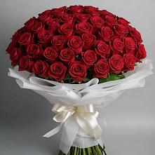 Букет 101 Красная роза Блэк Мэджик #REPLACE_PRED# Верее