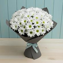Букет цветов из:  Хризантемы #REPLACE_PRED# Верее