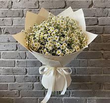 Букет цветов из:  Ромашки в Верее