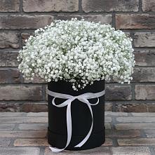 Цветочная композиция из Гипсофила в шляпной коробке #REPLACE_PRED# Верее