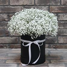 Цветочная композиция из Гипсофила в шляпной коробке в Верее